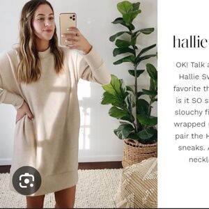 NWOT Carly Jean Los Angeles Hallie Sweater dress